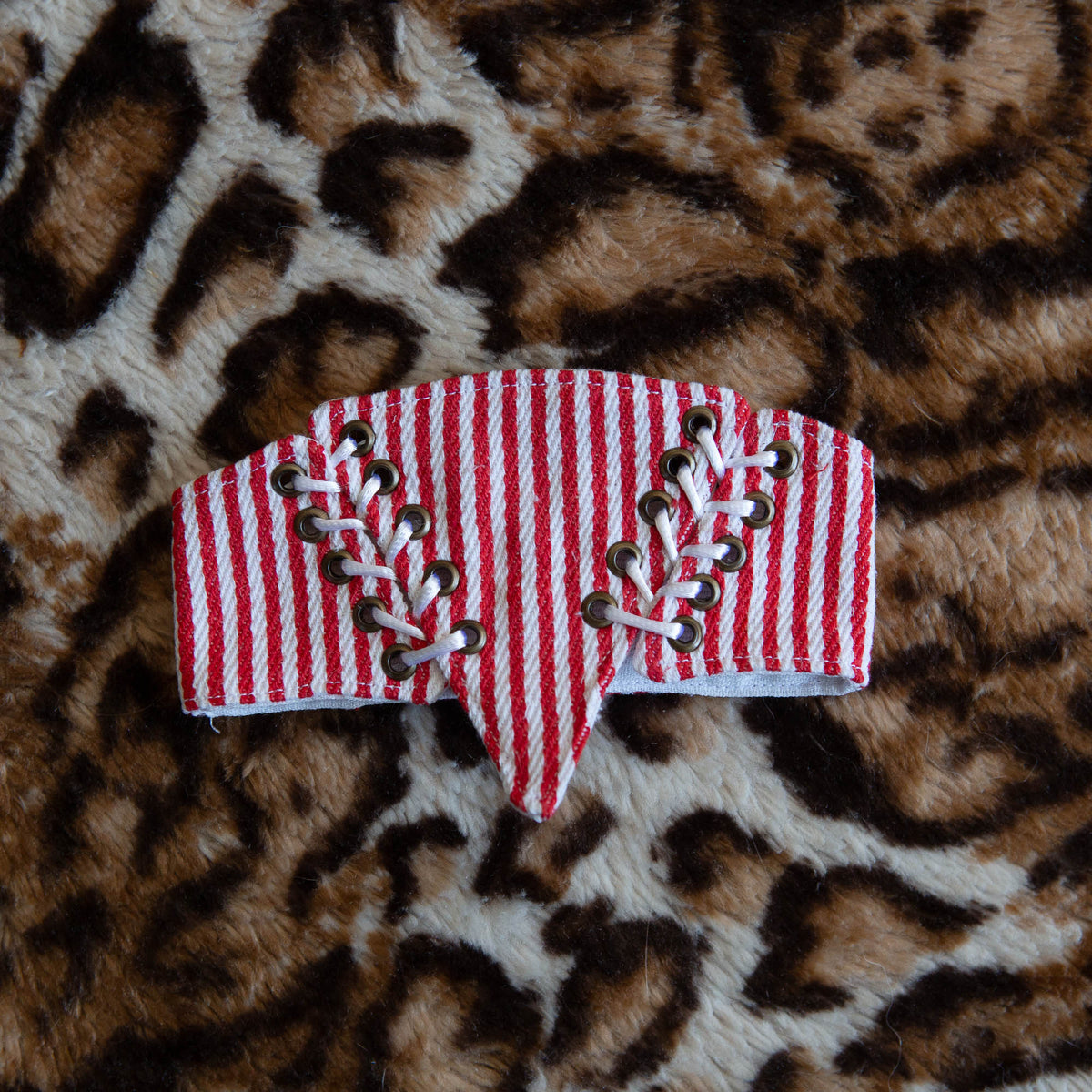 Carnival Corset